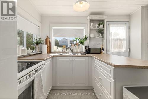 10 Oriole Road, Kawartha Lakes, ON - Indoor Photo Showing Kitchen With Double Sink