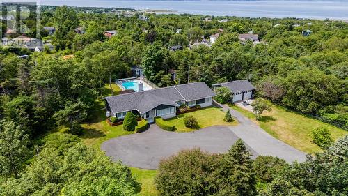 54 Middle Bight Road, Conception Bay South, NL - Outdoor With View