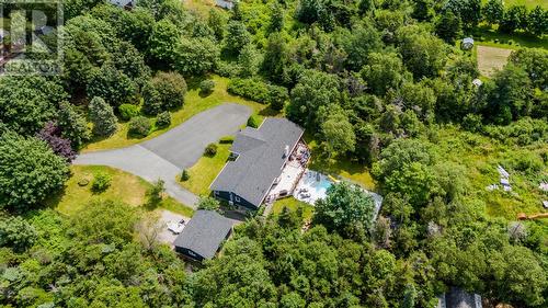 54 Middle Bight Road, Conception Bay South, NL - Outdoor With View