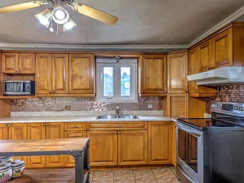 Kitchen - 411 8E Rue, Chertsey, QC - Indoor Photo Showing Kitchen With Double Sink