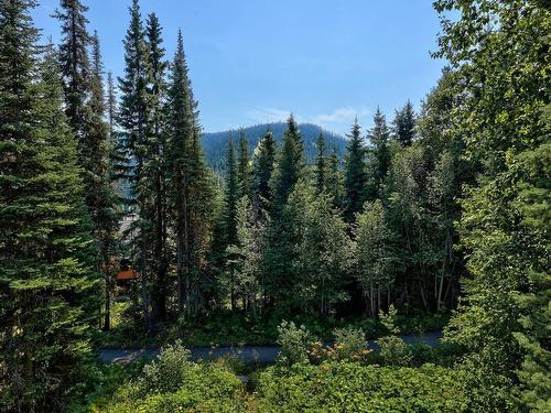 4101 Sundance Drive, Sun Peaks, BC - Outdoor With View