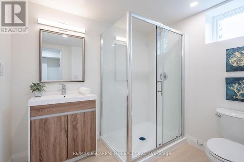 16 Burns Place, Hamilton (Raleigh), ON - Indoor Photo Showing Bathroom