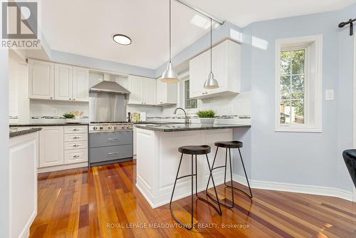 53 Gooderham Drive, Halton Hills (Georgetown), ON - Indoor Photo Showing Kitchen With Upgraded Kitchen