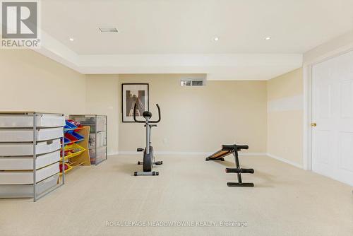 53 Gooderham Drive, Halton Hills, ON - Indoor Photo Showing Gym Room