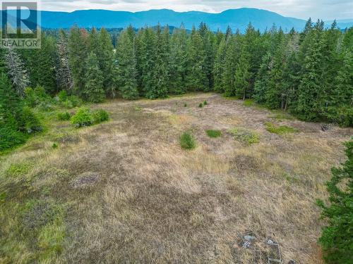 1561 70 Street Se, Salmon Arm, BC - Outdoor With View