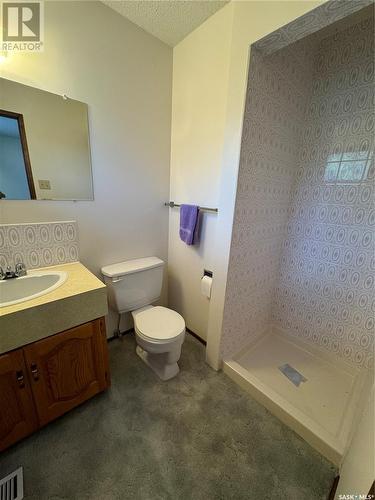 720 Donald Street, Hudson Bay, SK - Indoor Photo Showing Bathroom