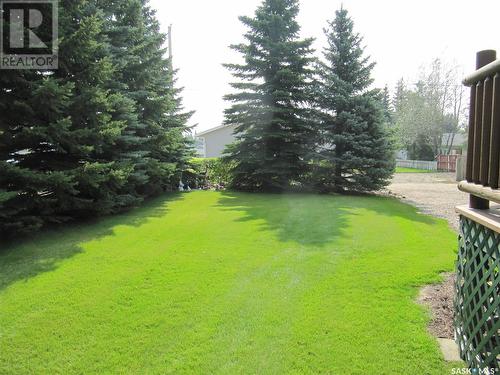 5001 Westview Crescent, Edam, SK - Outdoor With Backyard