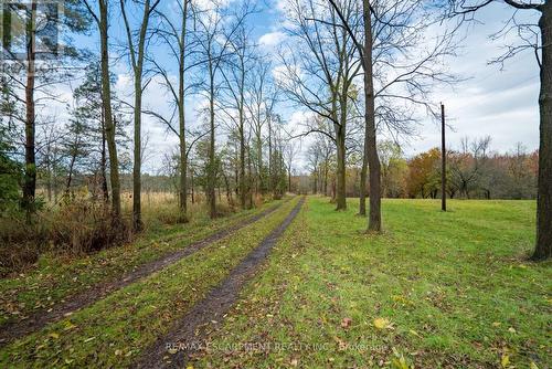 1172 Concession 8 Road W, Hamilton, ON - Outdoor With View