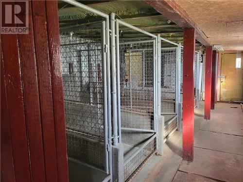 Kennels - 840 Stewart Boulevard, Brockville, ON - 