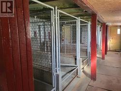 Kennels - 