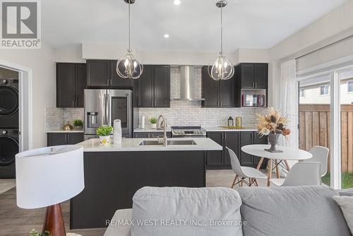 41 Starling Drive, Hamilton (Bruleville), ON - Indoor Photo Showing Kitchen With Stainless Steel Kitchen With Upgraded Kitchen