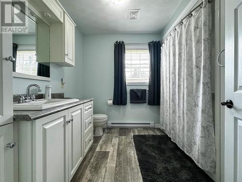 23 Pikes Road, Lewins Cove, NL - Indoor Photo Showing Bathroom