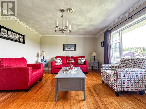 23 Pikes Road, Lewins Cove, NL - Indoor Photo Showing Living Room