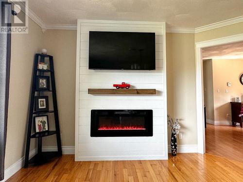 23 Pikes Road, Lewins Cove, NL - Indoor Photo Showing Living Room With Fireplace