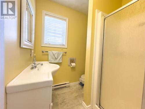 23 Pikes Road, Lewins Cove, NL - Indoor Photo Showing Bathroom