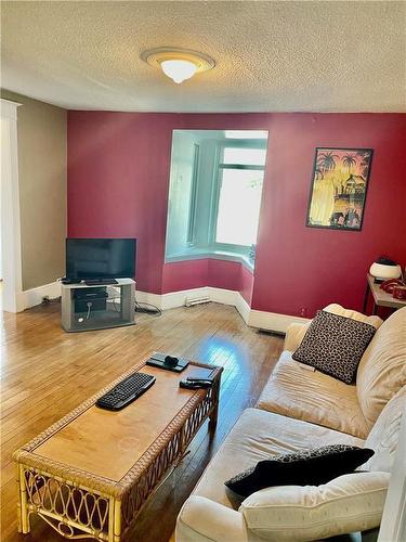 299 Princess Street, Virden, MB - Indoor Photo Showing Living Room