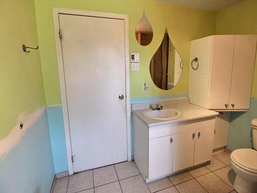 Powder room - 50 Rue De L'Église, Saint-Félix-De-Dalquier, QC - Indoor Photo Showing Bathroom