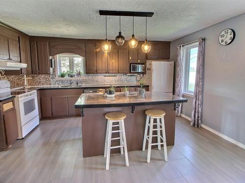 Kitchen - 50 Rue De L'Église, Saint-Félix-De-Dalquier, QC - Indoor Photo Showing Kitchen With Double Sink With Upgraded Kitchen