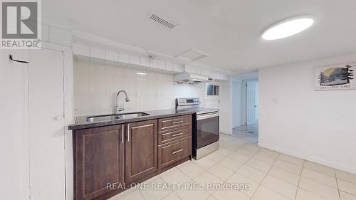 250 Bathurst Street, Toronto (Trinity-Bellwoods), ON - Indoor Photo Showing Kitchen With Double Sink