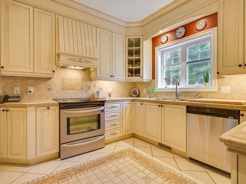 Kitchen - 500 Rue Des Rosiers, Sainte-Adèle, QC - Indoor Photo Showing Kitchen With Double Sink