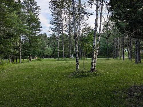 Land/Lot - 500 Rue Des Rosiers, Sainte-Adèle, QC - Outdoor With View