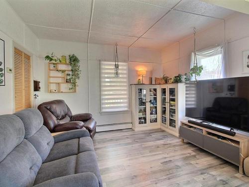 Salon - 370 Rue Merry N., Magog, QC - Indoor Photo Showing Living Room