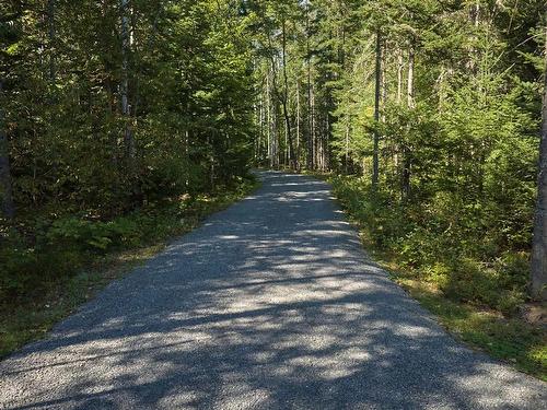 Other - 2088 Ch. Régimbald, Saint-Donat, QC - Outdoor With View