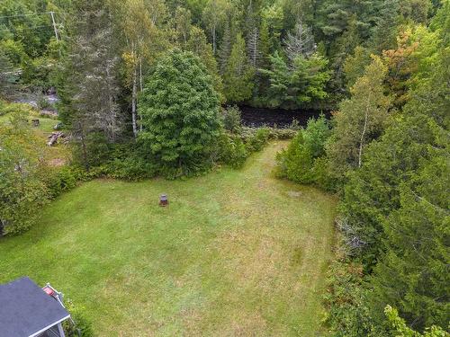 Backyard - 128 Rue De La Chute-Rouge, Sainte-Marguerite-Du-Lac-Masson, QC - Outdoor