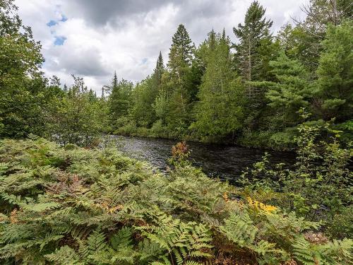 Backyard - 128 Rue De La Chute-Rouge, Sainte-Marguerite-Du-Lac-Masson, QC - Outdoor