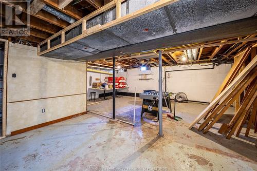 720 Cartier Drive, Windsor, ON - Indoor Photo Showing Basement