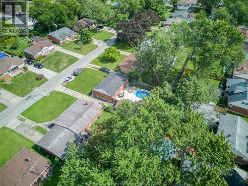 3229 Virginia Park Avenue, Windsor, ON - Outdoor With View