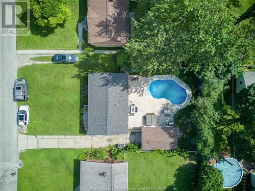 3229 Virginia Park Avenue, Windsor, ON - Outdoor With In Ground Pool