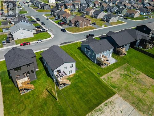 25 Leonard J Cowley Street, St. John'S, NL - Outdoor With View