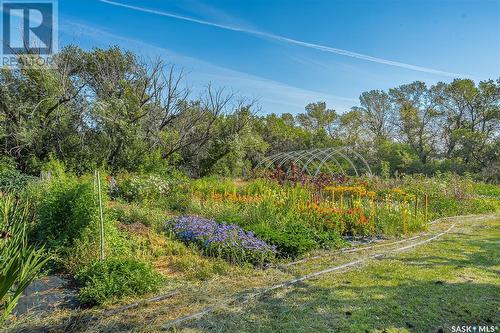 Lemke Acreage, Viscount Rm No. 341, SK - Outdoor With View