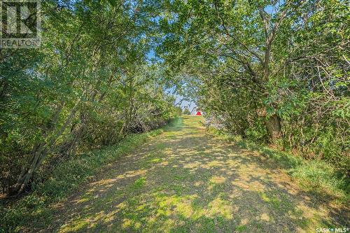 Lemke Acreage, Viscount Rm No. 341, SK - Outdoor