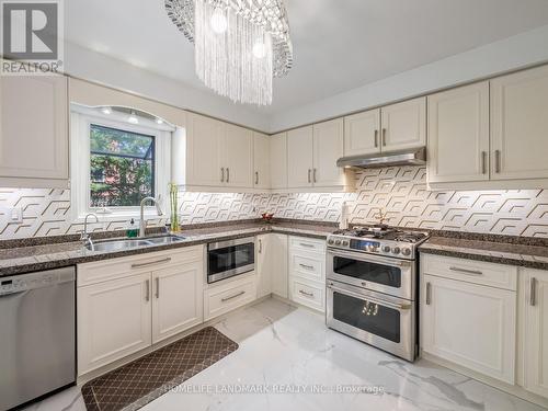 53 Highgrove Crescent, Richmond Hill, ON - Indoor Photo Showing Kitchen With Double Sink With Upgraded Kitchen