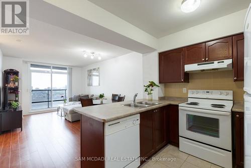 1002 - 220 Forum Drive, Mississauga (Hurontario), ON - Indoor Photo Showing Kitchen With Double Sink