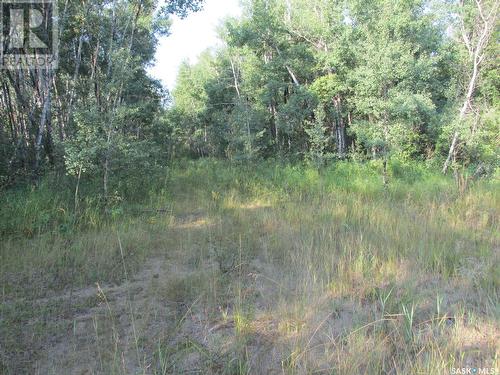 19.95 Acre Acreage Rm Of Moose Range, Moose Range Rm No. 486, SK - Outdoor With View