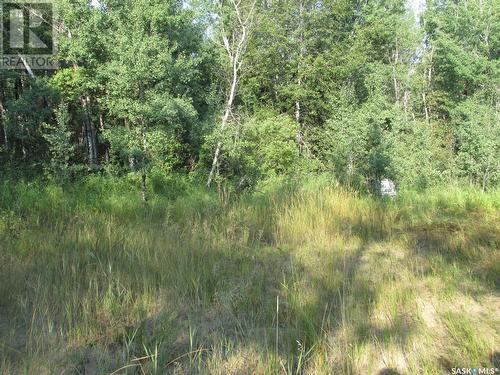 19.95 Acre Acreage Rm Of Moose Range, Moose Range Rm No. 486, SK - Outdoor With View