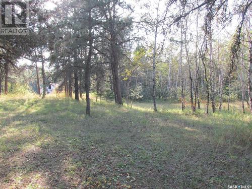 19.95 Acre Acreage Rm Of Moose Range, Moose Range Rm No. 486, SK - Outdoor With View