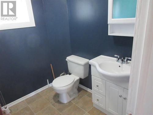 8 Peronne Road, Grand Falls Windsor, NL - Indoor Photo Showing Bathroom