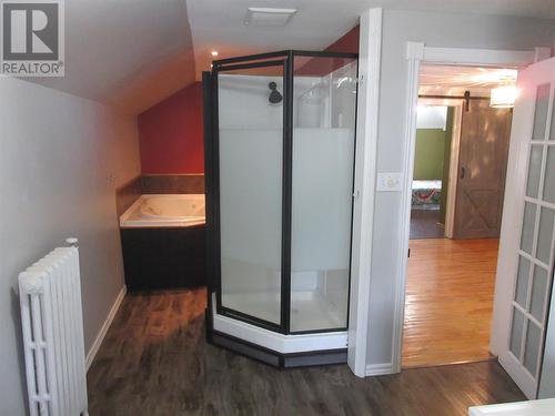 8 Peronne Road, Grand Falls Windsor, NL - Indoor Photo Showing Bathroom