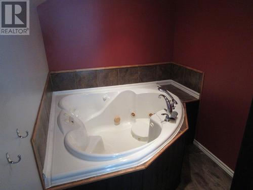 8 Peronne Road, Grand Falls Windsor, NL - Indoor Photo Showing Bathroom