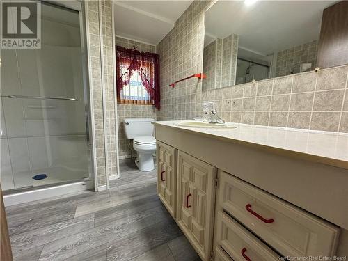 2838 108 Route, New Denmark, NB - Indoor Photo Showing Bathroom