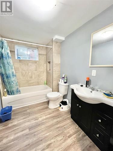 38 Newtown Road, Bishop'S Falls, NL - Indoor Photo Showing Bathroom