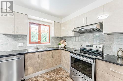 49 Topham Crescent, Richmond Hill, ON - Indoor Photo Showing Kitchen With Upgraded Kitchen