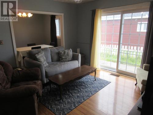 43 Earle Street, Grand Falls Windsor, NL - Indoor Photo Showing Living Room