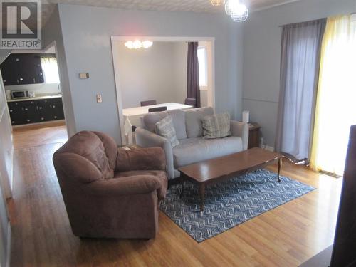 43 Earle Street, Grand Falls Windsor, NL - Indoor Photo Showing Living Room