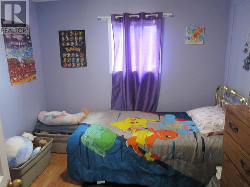 43 Earle Street, Grand Falls Windsor, NL - Indoor Photo Showing Bedroom