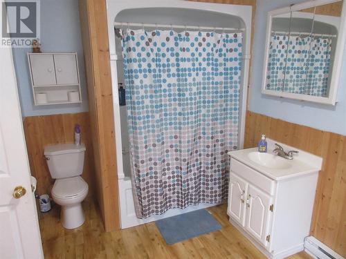 43 Earle Street, Grand Falls Windsor, NL - Indoor Photo Showing Bathroom